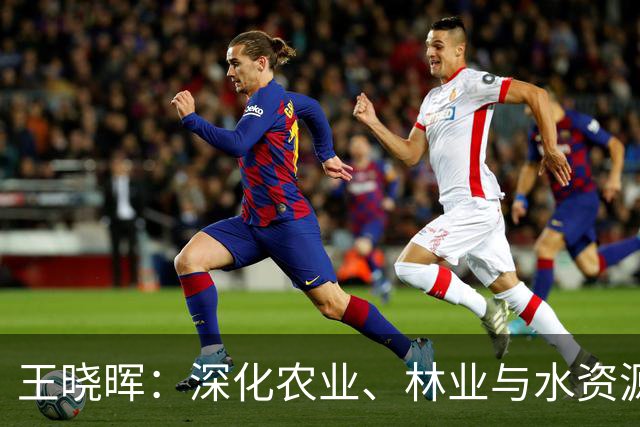 王晓晖：深化农业、林业与水资源治理，夯实四川绿色现代化基础